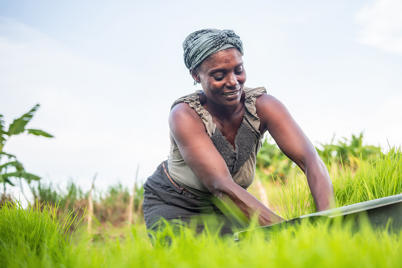 gender equality in agriculture header