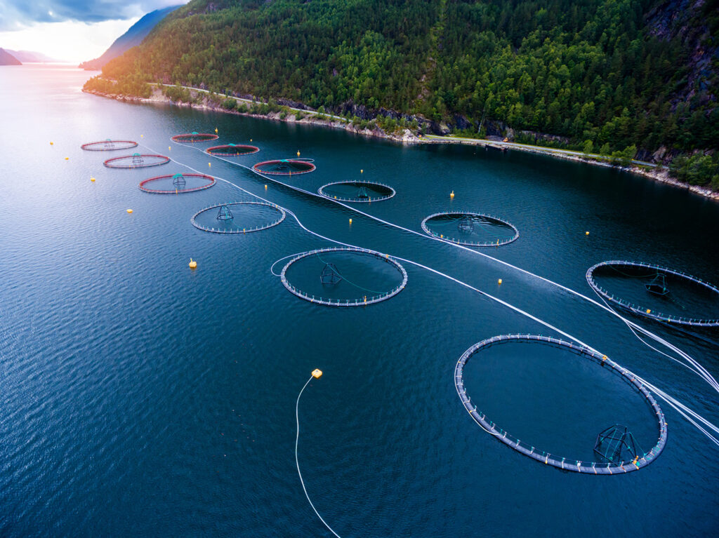 fisheries and aquaculture