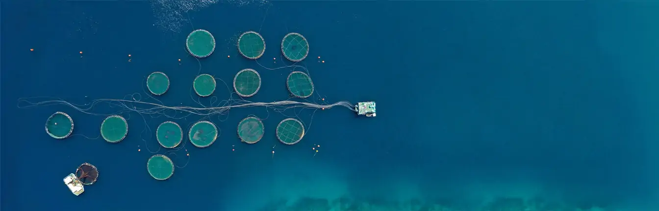 aquaculture management