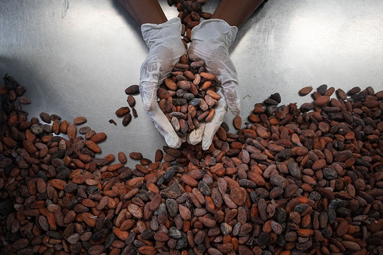 Food-safety-expert_1 copy