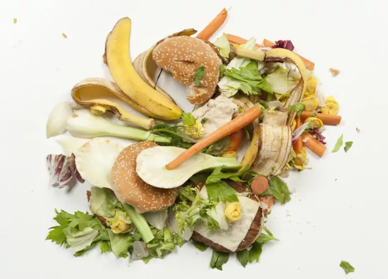 food waste header