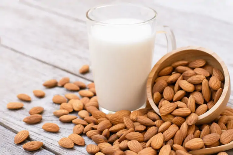 plant-based milks header
