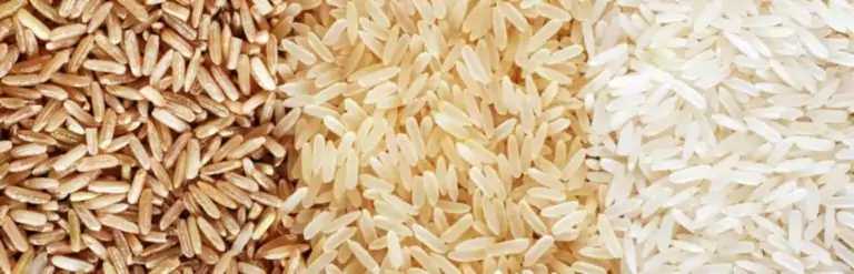 Rice market header