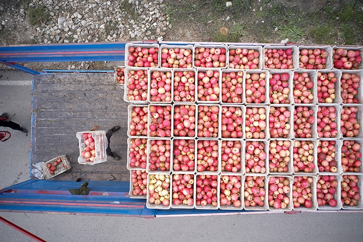 risk assessment in food industry - Logistics and supply chain risks