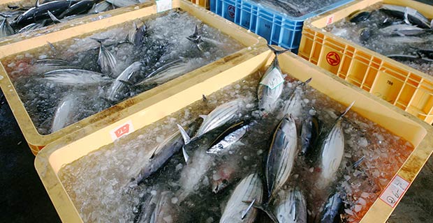 fisheries & aquaculture benefit 4