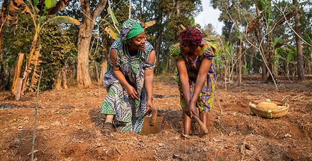 gender equality in agriculture benefit 1