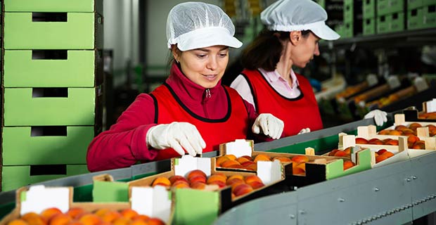 food processing & manufacturing benefit 1