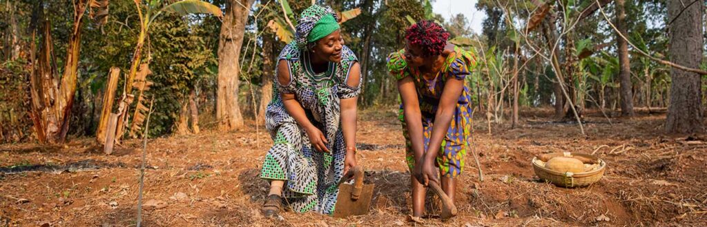 women in agribusiness header