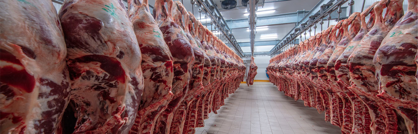 red meat header