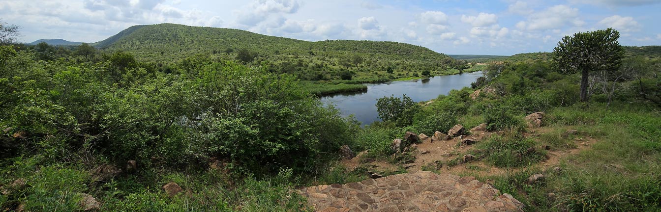 South Africa carbon offset market header