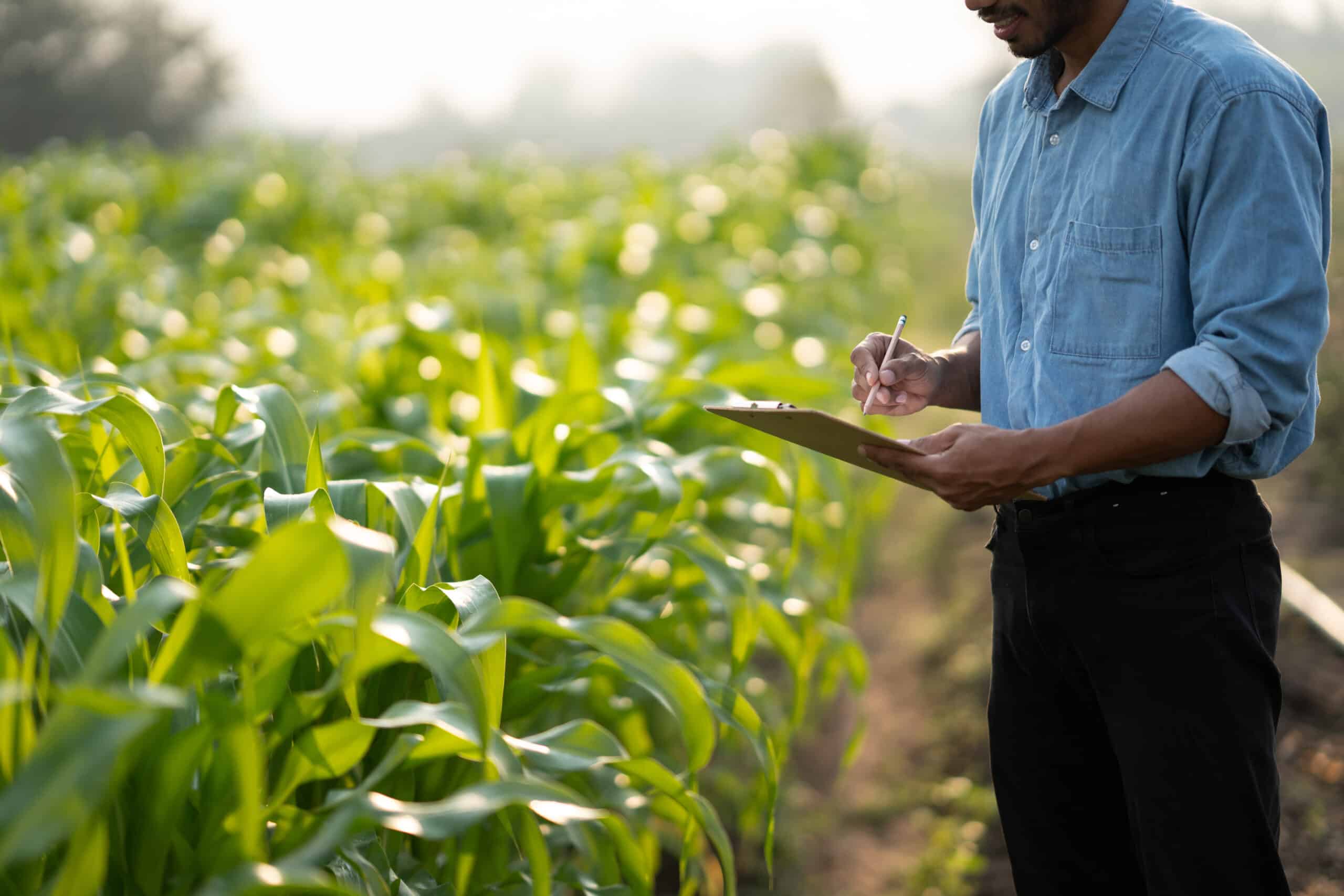 Farmland management