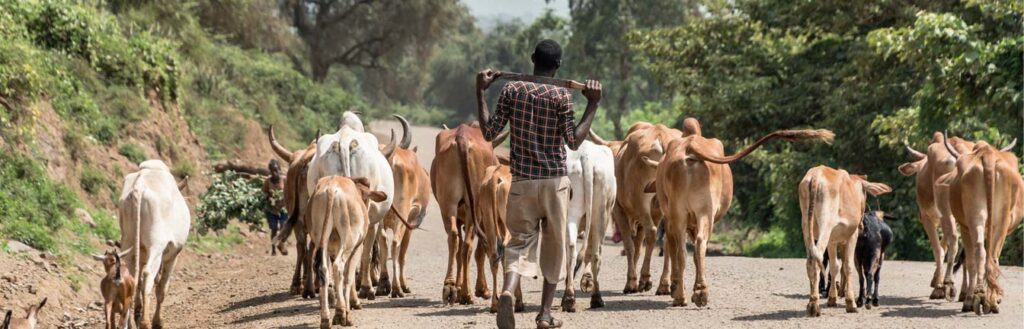 agricultural transformation agency header