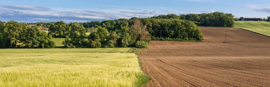 land fallowing header