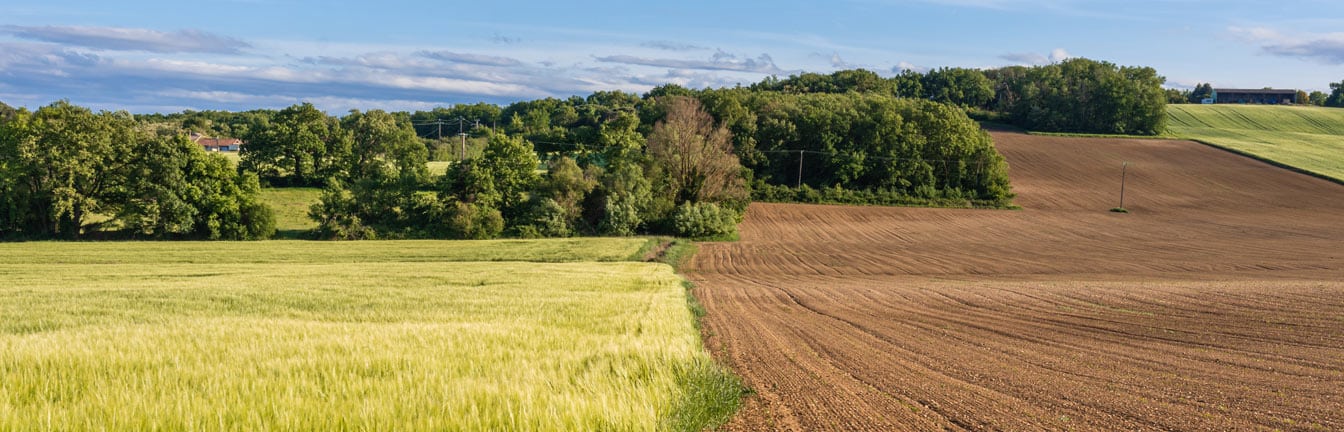 land fallowing header