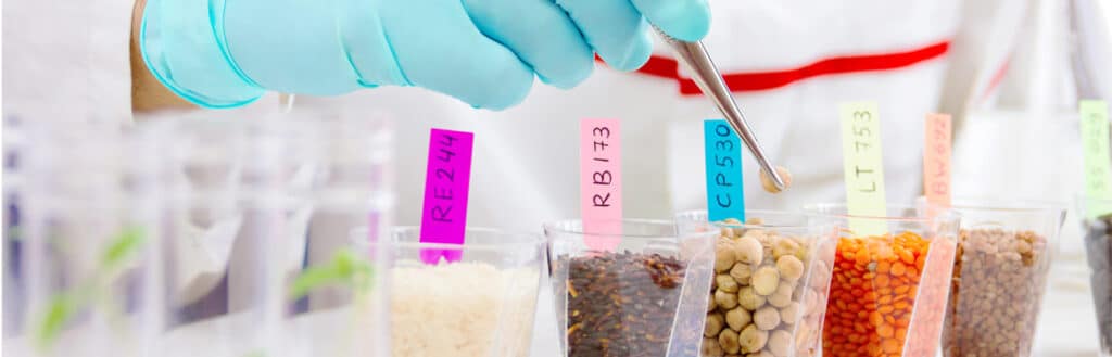 novel food status header