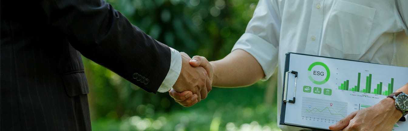 Asset and liability investigation header