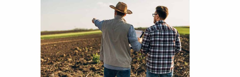 Land due diligence header