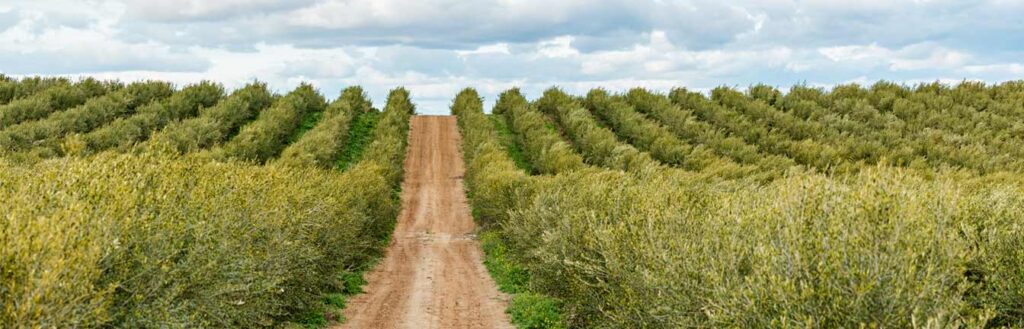 land aggregation header