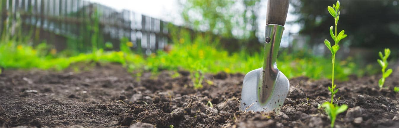 permanent capital header