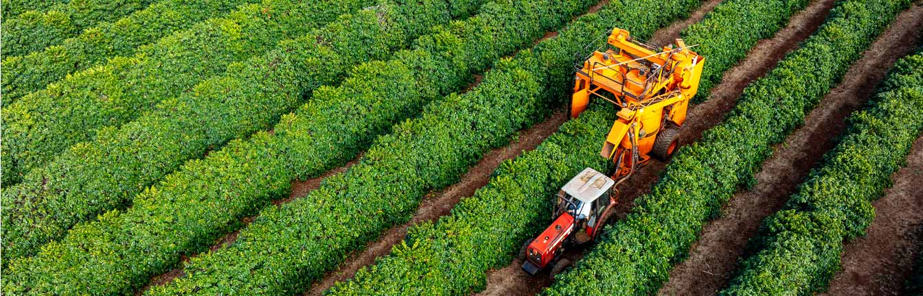 Permanent Capital Vehicle header