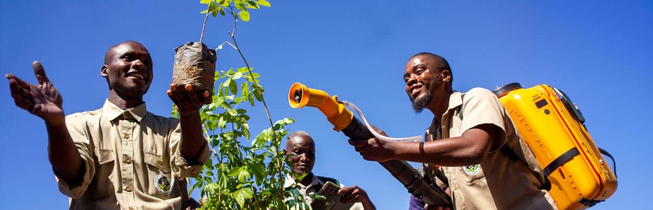 agroforestry in Africa header