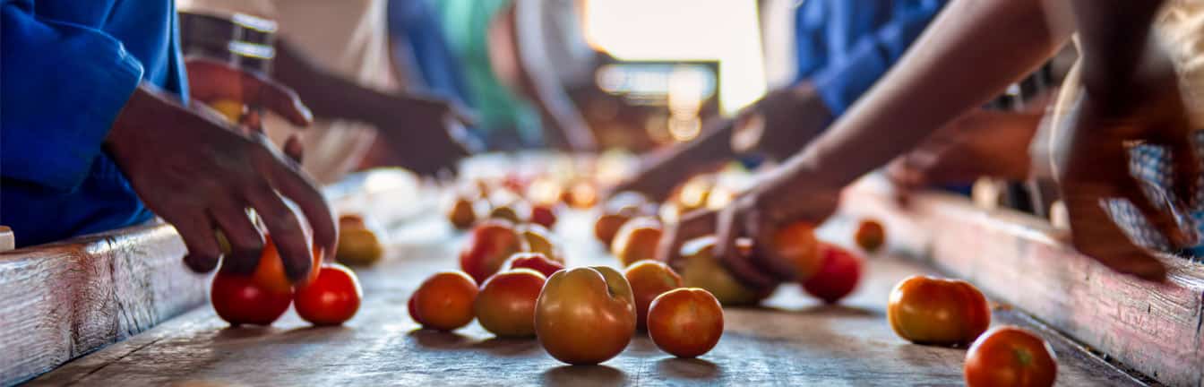 Agro-industrialisation header