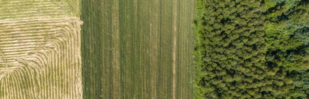 natural capital investing header