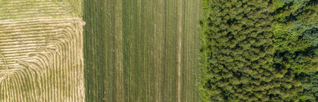 natural capital investing header